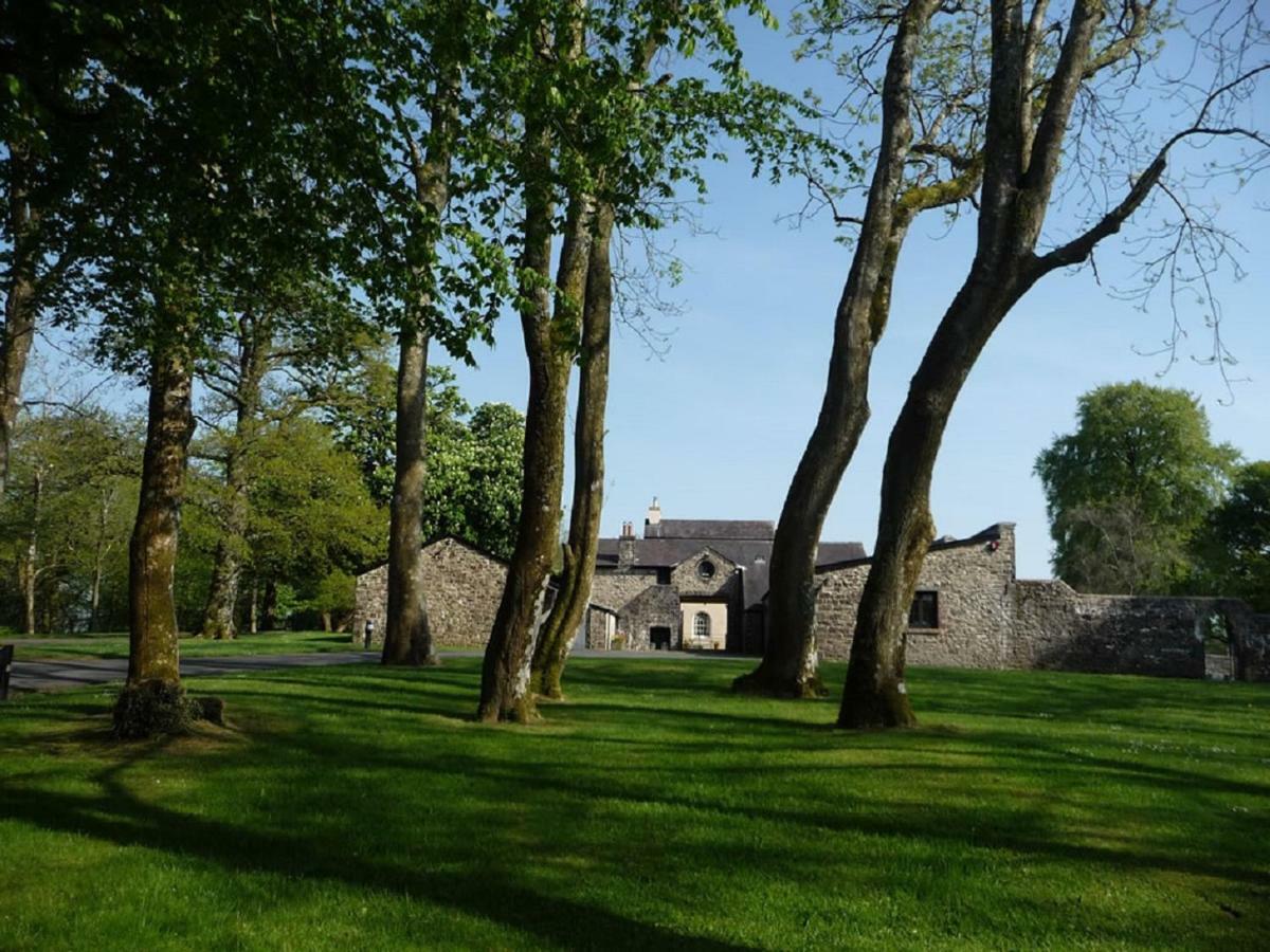 Llwynhelig Manor Bed & Breakfast Llandeilo Exterior photo